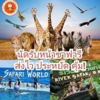 ราคา นัดรับใกล้ซาฟารี บัตรซาฟารีเข้าได้ 2 โซน ทั้งมารีนปาร์คและซาฟารีปาร์ค (11063188793)