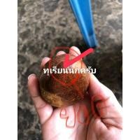 ราคา เม็ดทุเรียนป่า(นก)เม็ดละ10บาท (18693781229)