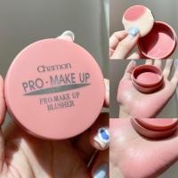 ราคา Chamon Pro Make Up Blusher ปัดแก้มเนื้อแมทท์ ชาม่อน ตลับเล็กพกพาสะดวก (43801541679)