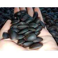 ราคา เม็ดเหรียง ลูกเหรียง ปี66 (1 กิโลกรัม) (23541949944)