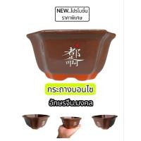 ราคา กระถางต้นไม้ บอนไซ คำมงคลอักษรจีน (41671546578)