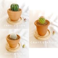 ราคา กระถางดินเผา ขนาด 3” กระถางแคคตัส กระถางต้นไม้ (4017363005)