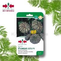 ราคา ข้าวตอก 573 F1เมล็ดพันธุ์ฟักทอง (Pumpkin seeds) ตราศรแดง East-West Seed (6359570774)