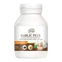 ราคา ส่งไวกระเทียมผงสกัด กระเทียมสกัด เข้มข้นสูง บรรจุ100เม็ด/500mg ลดไขมันในเลือด สลายลิ่มเลือด กระเทียมแคปซูล สมุนไพร (12275043266)
