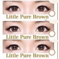ราคา Little pure brown (77877701)