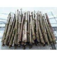 ราคา กิ่งหม่อนพันธุ์พื่นบ้านจากสวนที่เชียงราย Mulberry มัลเบอร์รี่,กิ่งหม่อน,ต้นหม่อน กิ่งละ10บาท (5172687963)