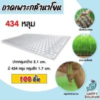 ราคา ถาดเพาะกล้านาโยน 434 หลุม แพ็ค 100-500 ชิ้น ถาดเพาะนาโยน เพาะกล้าข้าว ถาดนาโยน ถาดเพาะกล้า ถาดเพาะต้นข้าว (24331807786)