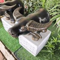 ราคา รูปปั้น รูปปั้นสัตว์ รูปปั้นดินเผา รูปปั้นควาย ตกแต่งสวน ตกแต่งบ้าน (29681839494)