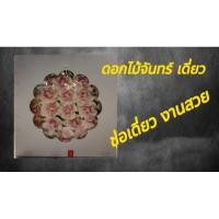 ราคา ดอกไม้จัน ดอกไม้จันทน์เดี่ยว ดอกพุดซ้อน 1กล่อง มี100ดอก ช่อเชิญแบบสวย ดอกไม้จันทน์งานศพ ดอกเดี่ยว งานฝีมือสวยมากๆๆ (25486051706)