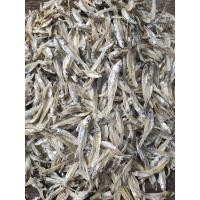 ราคา ปลาซิวแก้ว 5 กิโลกรัม ราคาส่ง (21059301972)