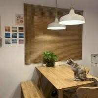 ราคา มู่ลี่ หน้าต่าง มู่ลี่บังตา ม่าน ม่านหน้าต่าง ม่านปรับแสง มู่ลี่หน้าต่าง (5988248150)