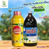 ราคา คู่หูปราบสะเดาดิน เทียนนา กก หนวดปลาดุก 1 ชุด(ใช้ได้ 5-10ไร่ ) (41267458788)