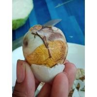 ราคา ขายดีมาก จัดส่งด่วน ไข่ไก่ลูกอ่อน ไข่ร้างรัง ไข่ฮ้างฮัง ไข่ข้าว ไข่ตัวอ่อน ไข่เป็ด ไข่ลูกเป็ด ไข่เป็ดเวียดนาม (22366051186)