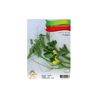 ราคา เมล็ดพันธุ์ ฟักทองยอด | เครื่องบิน | OP2 เมล็ดพันธุ์ อุปกรณ์ทำสวน สวนและอุปกรณ์นอกบ้าน เมล็ดพันธุ์ ฟักทองยอด เมล็ดพันธ์ค (6905034906)