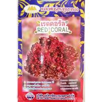 ราคา เมล็ดผักสลัด เรดคอรัล RED CORAL MT/LT-07 ตราภูเขาทอง เมล็ดพันธุ์ผักสลัด เมล็ดเรดคอรัล เรดรันเดอร์ (18093478227)