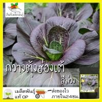ราคา เมล็ดพันธุ์ กวางตุ้งฮ่องเต้ สีม่วง 100 เมล็ด Pakchoi Ruby F1 Seed เมล็ดพันธุ์แท้ 100% นำเข้าจากต่างประเทศ กวางตุ้ง ถูกดี ปลูกง่าย ขายดี โตไว (12830646669)