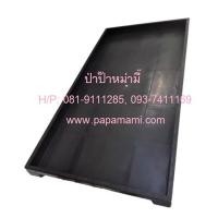 ราคา (10 ถาด) papamami ถาดเพาะต้นอ่อน แบบ ไม่มีรู(กว้าง30ซม.xยาว60ซม.x สูง3.5ซม.)ถาดเพาะต้นอ่อนทานตะวัน ถาดเพาะต้นอ่อนผักบุ้ง (18543629674)