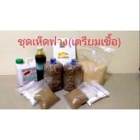 ราคา ชุดเชื้อเห็ดฟาง(ครบเซ็ต) (2414611357)