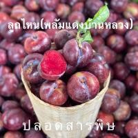 ราคา ลูกไหนแดง ใกล้หมดฤดูแล้ว (22667038360)