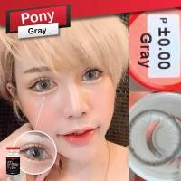 ราคา คอนแทคเลนส์ Pitchylens รุ่น Pony Gray/Brown Mini Pony สีเทา/สีน้ำตาล บิ๊กอายตาโต เลนส์เล็ก แถมตลับทุกคู่ ส่งของทุกวัน (14385520577)