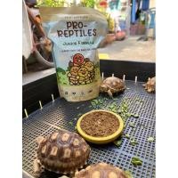 ราคา Pro-Reptiles junior อาหารเต่าสูตรสำหรับเต่าเด็ก น้ำหนัก 400g (24192582247)
