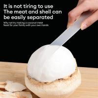 ราคา FTเครื่องมือแยกเนื้อผลไม้แบบยืดหยุ่นและอ่อนนุ่ม อเนกประสงค์ สำหรับขุดและแยกเนื้อมะพร้าว (41027618825)