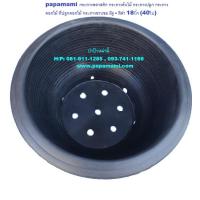 ราคา (40ใบ) papamami กระถางชวนชม มีรู - สีดำ 18นิ้ว กระถางบอนไซ อ่างชวนชม กระถางพลาสติก กระถางต้นไม้ กระถางดอกไม้ อ่างปลูกต้น (5761599727)
