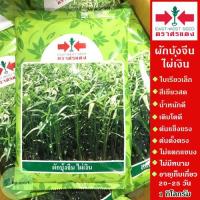 ราคา เมล็ดพันธุ์ ผักบุ้งจีน ไผ่เงิน 1 กิโล ตราศรแดง ใบเรียวเล็ก สีเขียวสด ผักบุ้งจีนไผ่เงิน เมล็ดผักบุ้งจีน ผักบุ้งไผ่เงิน (3657939218)