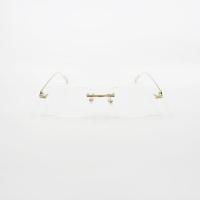 ราคา แว่นตา Cartier CT0162O 004 (15841826700)