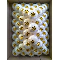 ราคา เหรียญโปรยทานลูกจันทร์คละสี เหรียญโปรยทานสำเร็จ ตัวเปล่า 50 ชิ้น (24428624402)