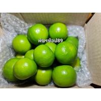 ราคา มะนาวแป้นพิจิตร เก็บสดจากสวน (5Kg.ถูกกว่า เหลือเพียง 25 บาท) คละไซซ์ 1Kg.มี 20-30ลูก น้ำเยอะ มีกลิ่นหอม (22754923676)