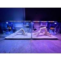 ราคา ชุดตู้เลี้ยงปลาทะเล 24 นิ้วนาโนขอบโค้งรุ่นไฟธรรมดา(สำหรับเลี้ยงปลาการ์ตูน) (22066845091)