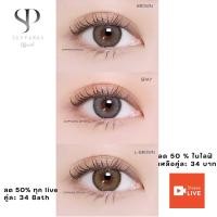 ราคา คอนแทคเลนส์ Mini Olivia Brown / Light Brown / Gray (Kitty Kawaii) ขนาดมินิ (15305708518)