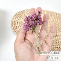 ราคา ช่อดอกไม้แห้ง ช่อดอกไม้จิ๋ว (15248784779)