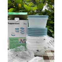 ราคา Tupperware Mini Freezermate Freezer set 170ml ครบชุด 6 กล่อง (27180991406)