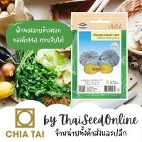 ราคา CTF1 เมล็ดพันธุ์ ฟักทองทองคำ 443 ตราเจียไต๋ Pumpkin Thong Kum 443 (534903504)