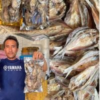 ราคา ปลาตากแห้ง200กรัม 100บาท ปลาขาวสร้อยวง ตากแห้ง ปลาน้ำจืด (18887893443)