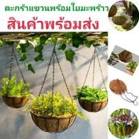 ราคา กระถางแขวน กระถางต้นไม้แบบแขวน ตะกร้าแขวนต้นไม้ กระถางแบบแขวน กระถางใยมะพร้าว สำหรับตกแต่งบ้าน กระถาง รังนก แบบแขวน (6022205840)