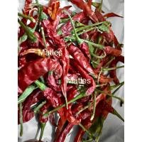 ราคา เมล็ดพริกแห้ง พริกจินดาแห้ง 20 เมล็ด (27135355173)