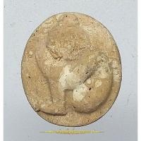 ราคา กุมารดูดรกเนื้อผงพรายกุมาร ไม่ทราบที่ (21954078694)