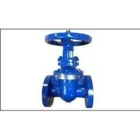 ราคา FMT 2-1/2" Gate Valve Cast Iron 150# (1290825072)