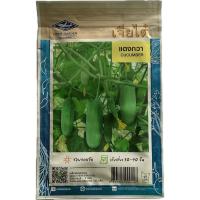 ราคา เมล็ดแตงกวา เจียไต๋ เมล็ดพันธ์ุพืช (7322928284)