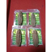 ราคา พระยอดขุนพลประทานพร ครูบาน้อย เตชปัญโญ วัดศรีดอนมูล อ.สารภี จ.เชียงใหม่ เนื้อผงว่าน ผงพระสกุลลำพูน ดินมงคล9นคร (27205398037)