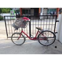 ราคา จักรยานแม่บ้าน ญี่ปุ่น (103532572)