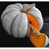 ราคา 10 เมล็ด ฟักทอง Pumpkin สายพันธุ์ jarrahdale pumpkin (42572558341)