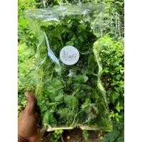 ราคา พร้อมส่ง วอเตอร์เครสฮาวาย/ ยอดอ่อน,ใบ100g.20฿ กินสด/ต้มจืด/สลัดได้ (3288512691)