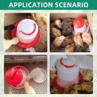 ราคา 1กก.ไก่สัตว์ปีก Feeder และ Watererเครื่องจ่ายอาหารอัตโนมัตินกChick Waterer Feeding Bucketคอนเทนเนอร์Supl (29093690370)