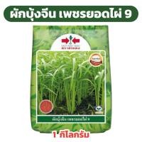 ราคา ผักบุ้งจีน เพชรยอดไผ่ 9 ศรแดง 1 กิโลกรัม (17093639874)