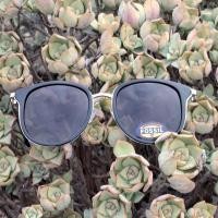 ราคา FOSSIL Sunglasses Cat Eye Silver ของแท้จากชอป USA (26263443050)