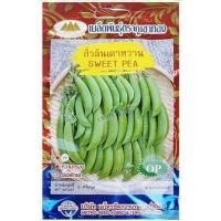 ราคา เมล็ดถั่วลันเตาหวาน SWEET PEA MT/OP-029 ถั่วลันเตา ถั่วลันเตาหวาน เมล็ดผักสวนครัว เมล็ดพันธุ์ผัก (22781319651)